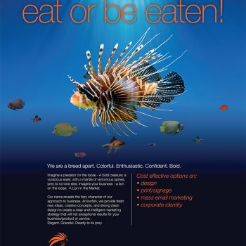 Lionfish creative advertisement