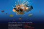 Lionfish creative advertisement